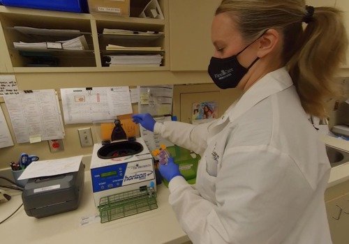 Clinical Lab Technician picture